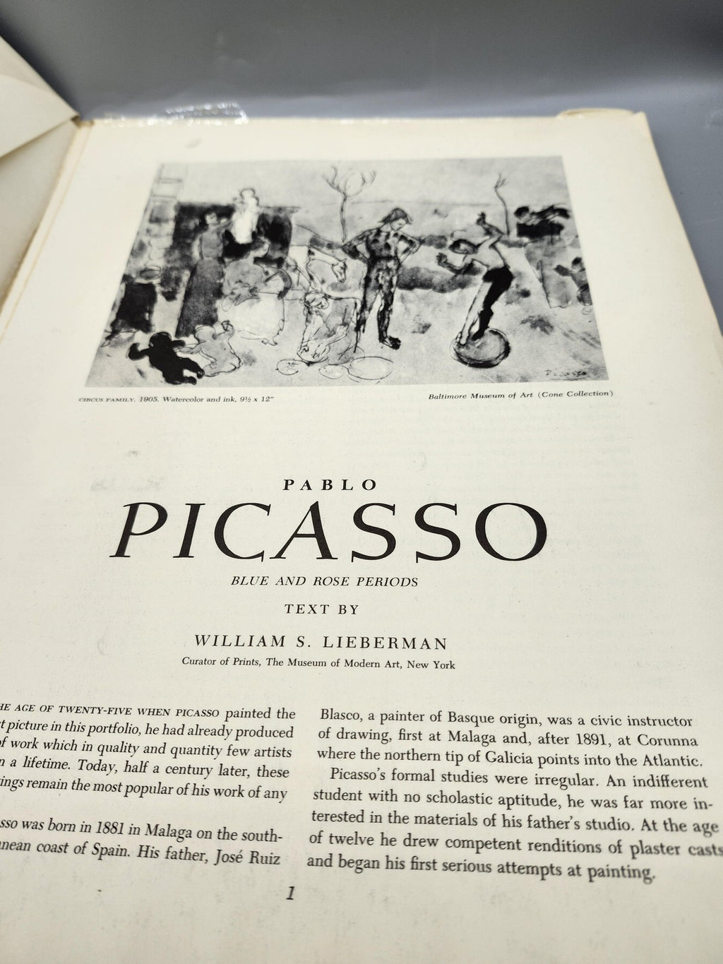 Vintage Pablo Picasso Blue & Rose Periods Lieberman Abrams PB 1954 USA Prints