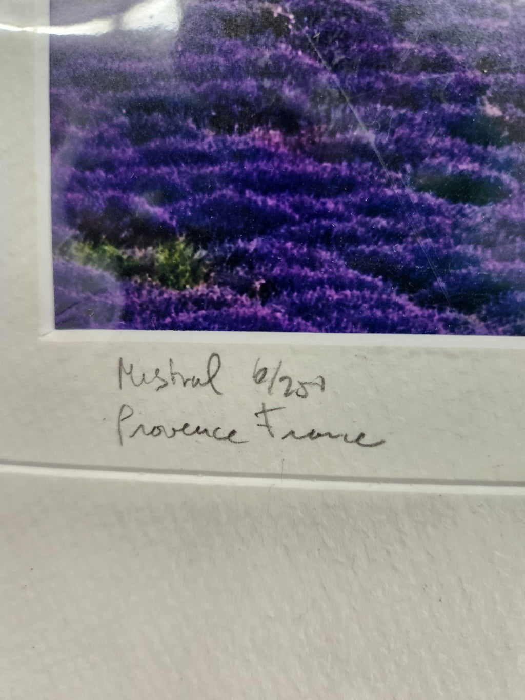 Signed Provence France Lavender Field Print “Mistral” 6/250 Framed Landscape Art