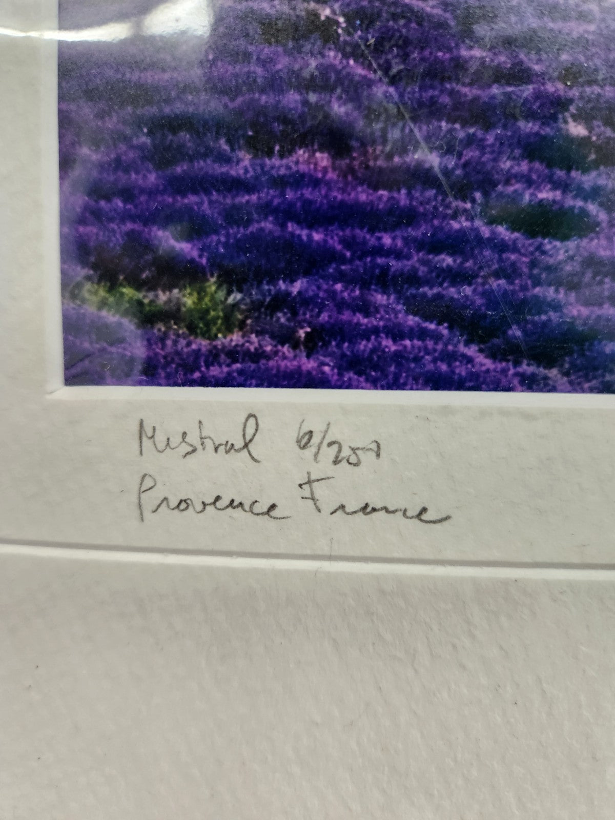 Signed Provence France Lavender Field Print “Mistral” 6/250 Framed Landscape Art