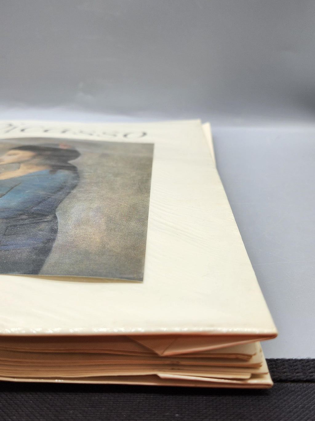Vintage Pablo Picasso Blue & Rose Periods Lieberman Abrams PB 1954 USA Prints