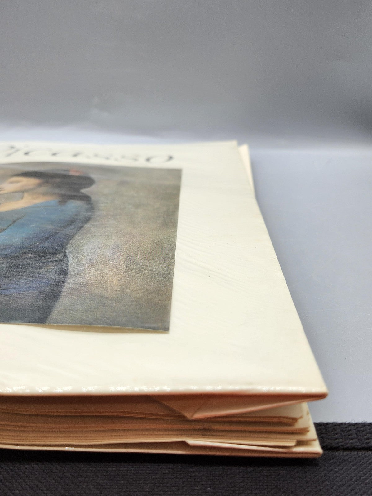 Vintage Pablo Picasso Blue & Rose Periods Lieberman Abrams PB 1954 USA Prints
