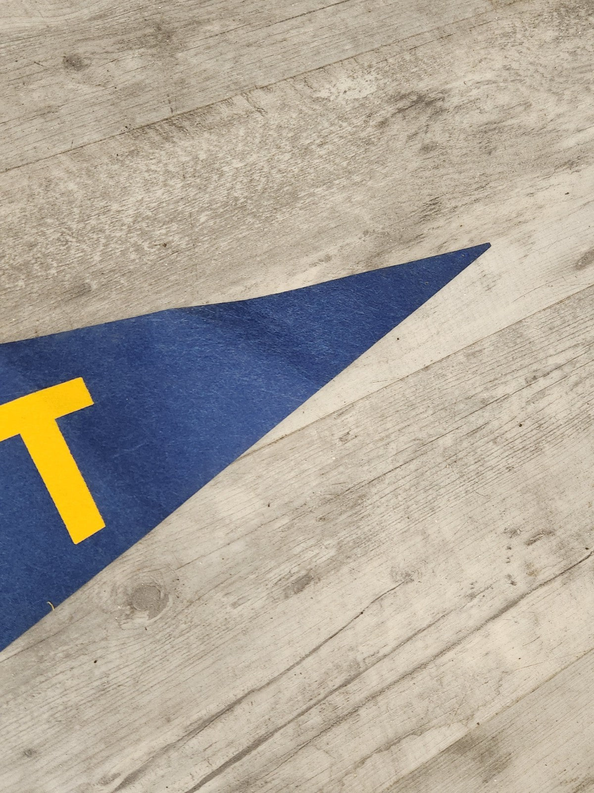 Vintage Golden Panthers Pitt Felt Pennant 29” Blue Yellow Collegiate Sports...