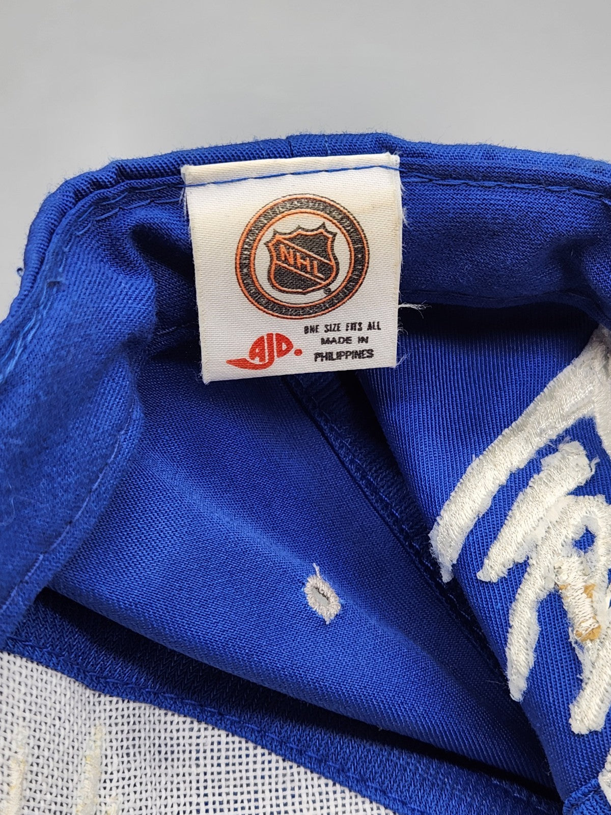 Vintage Tampa Bay Lightning Snapback Hat NHL Script Logo AJD Blue White 1990s