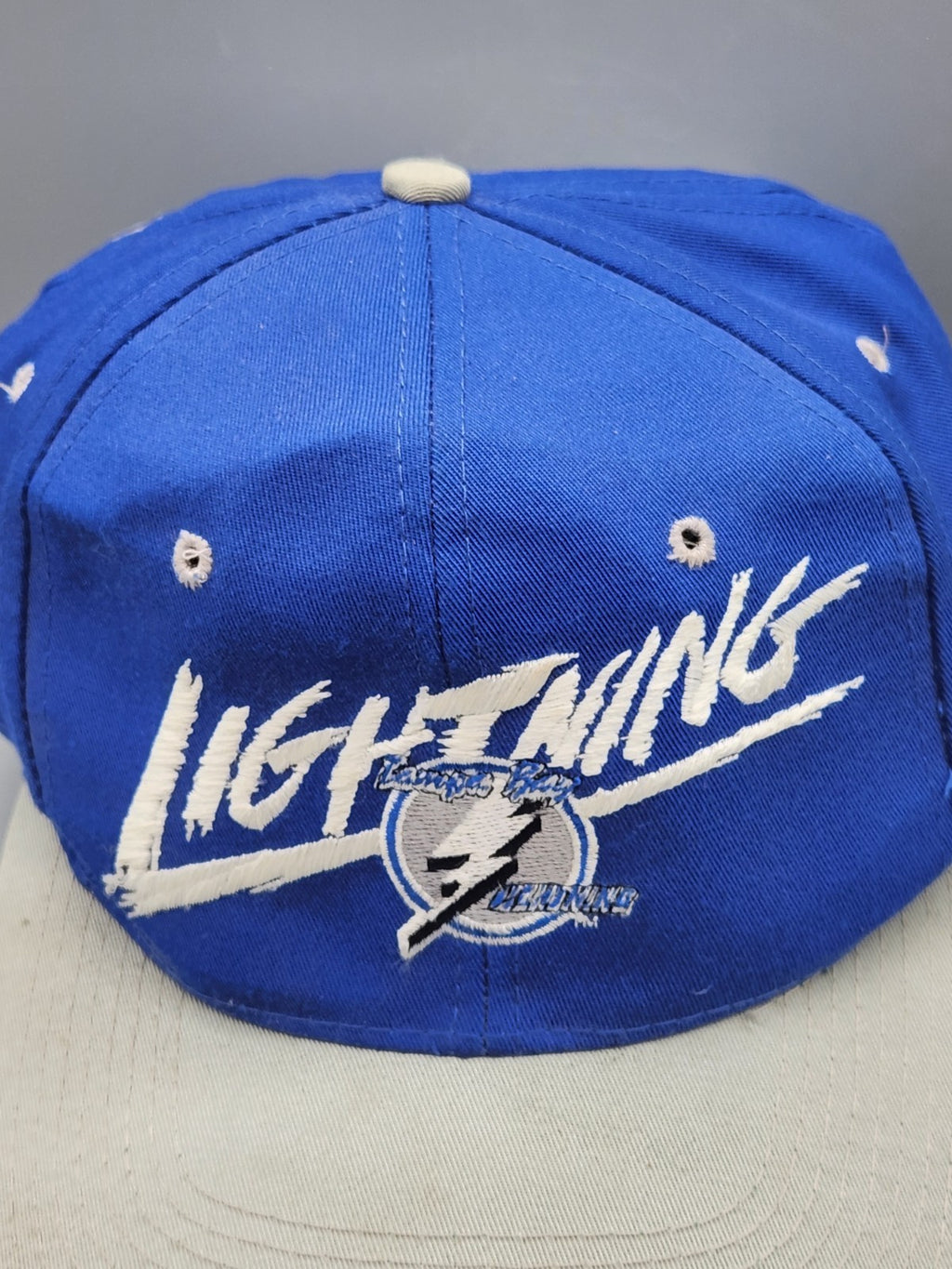 Vintage Tampa Bay Lightning Snapback Hat NHL Script Logo AJD Blue White 1990s