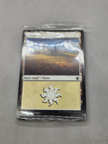 MTG Basic Plains Land Lot Sealed Pack 2020 Zendikar Rising 20+ Cards Magic...