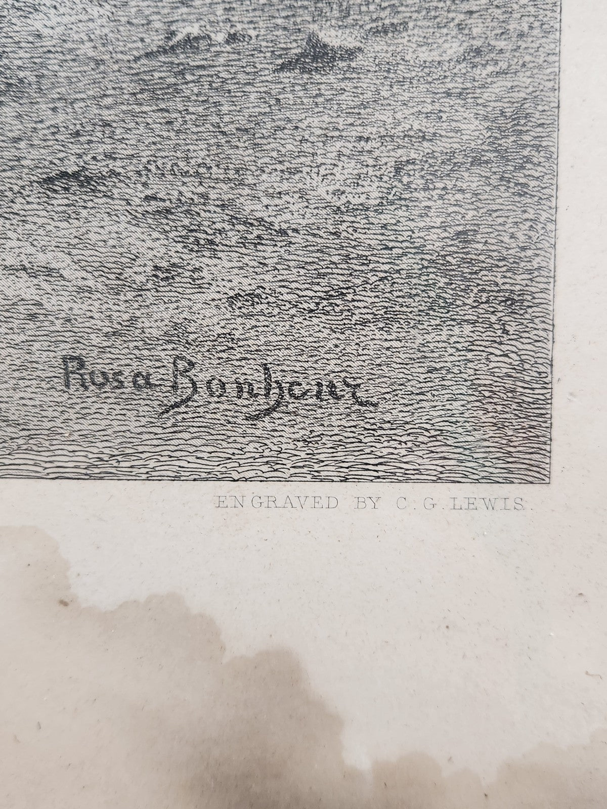 Antique Rosa Bonheur Horse Engraving Print HUGE 50x34 Black Forest Frame C.G....