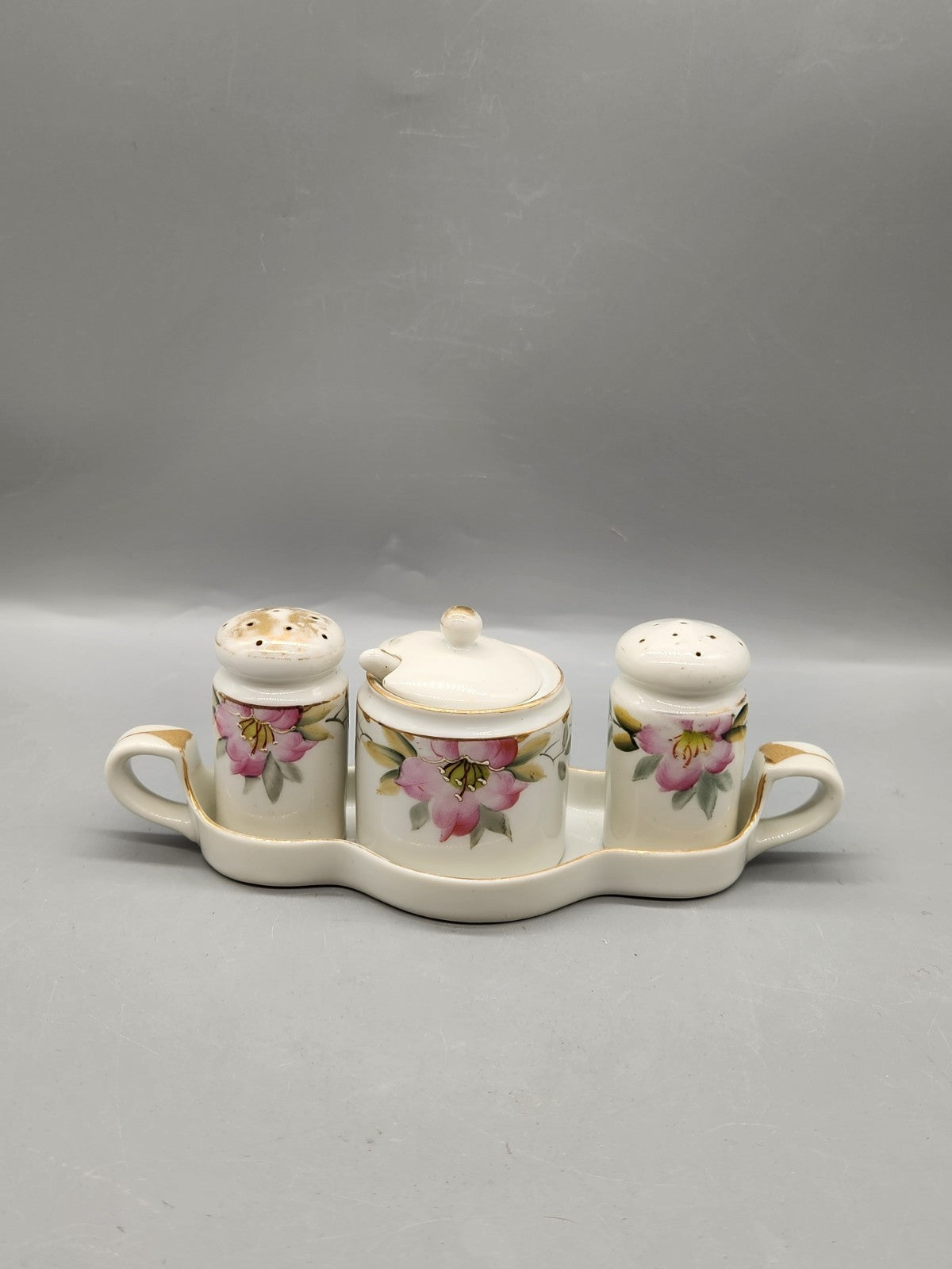 Vintage Noritake Hand Painted Condiment Set #19322 – Salt Pepper Shakers,...