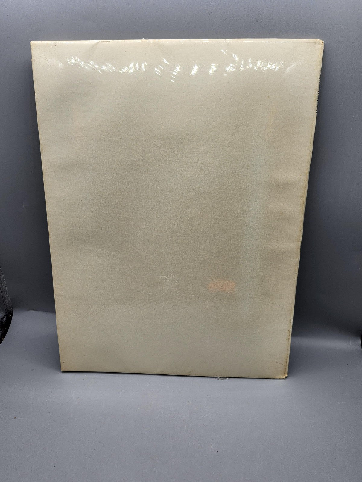 Vintage Rembrandt Wilhelm Koehler Cream PB 16 Full Color Art Prints USA 1955