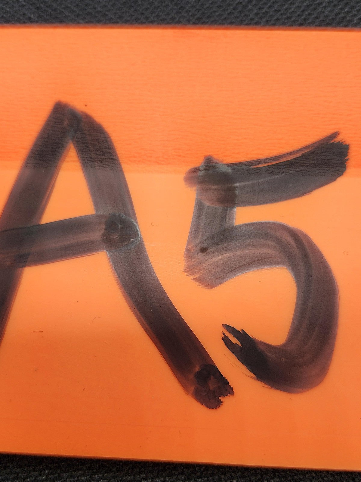 Vintage Splendor In The Grass DVD Widescreen NTSC Warner Bros Romance Drama