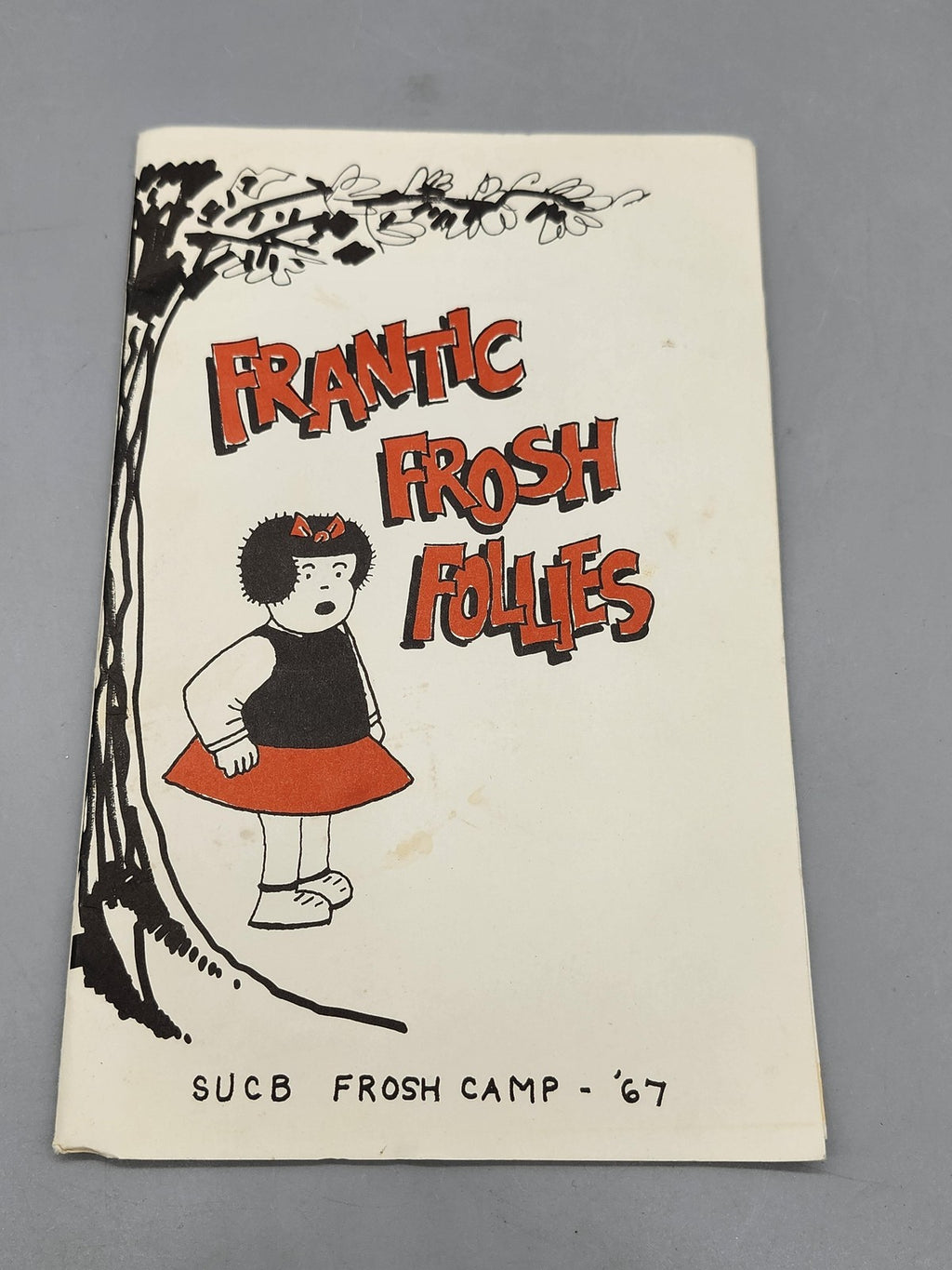Vintage 1967 Frantic Frosh Follies SUCB Freshman Camp Booklet Buffalo State