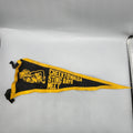 Cheektowaga Sting Rays Swim Team Meet Pennant Felt Black Yellow One Size