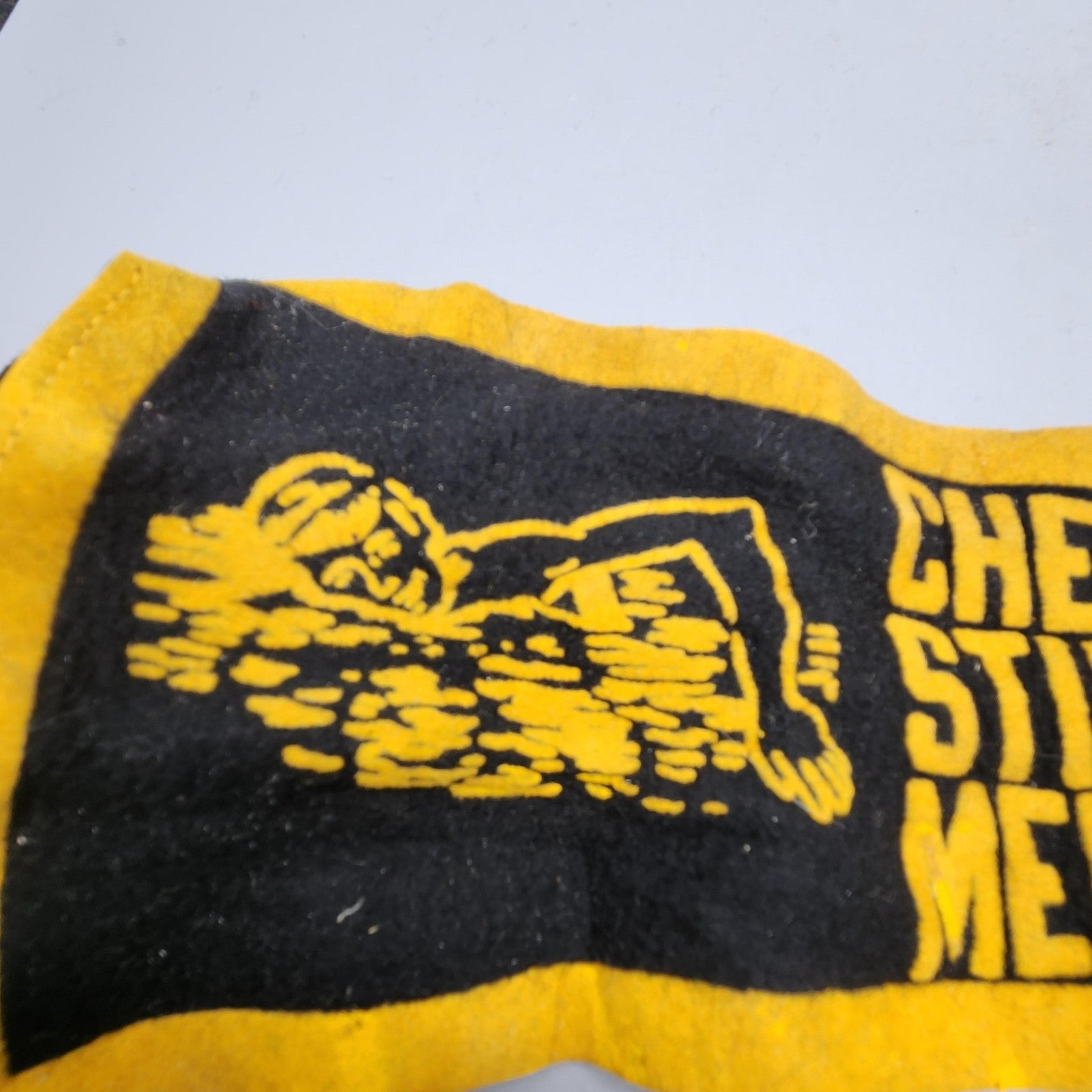 Cheektowaga Sting Rays Swim Team Meet Pennant Felt Black Yellow One Size