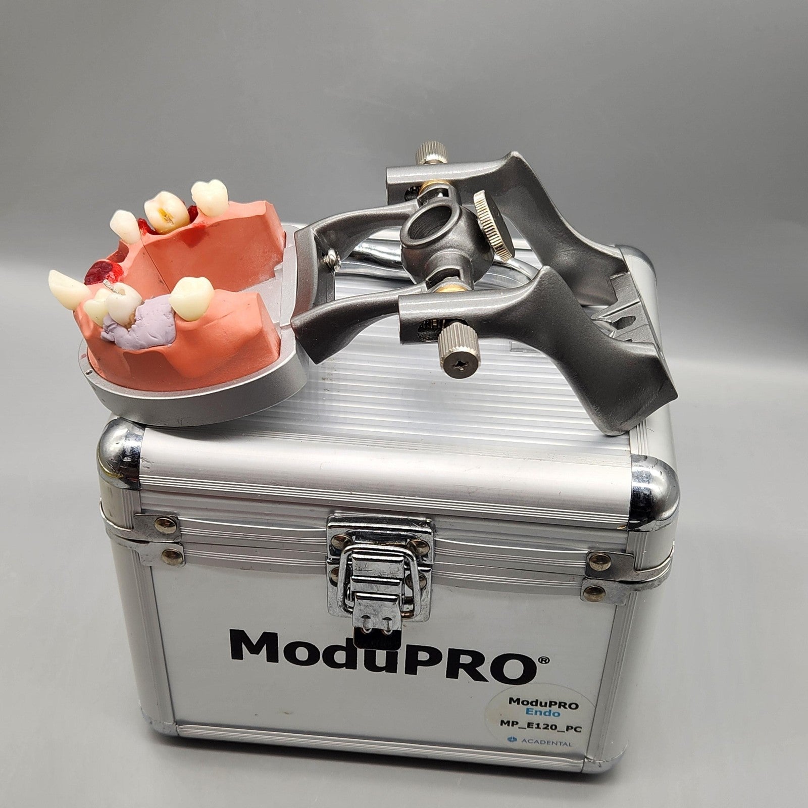 Acadental ModuPRO Endo Typodont MP_E120_PC Dental Silver Carrier Tray Case Model