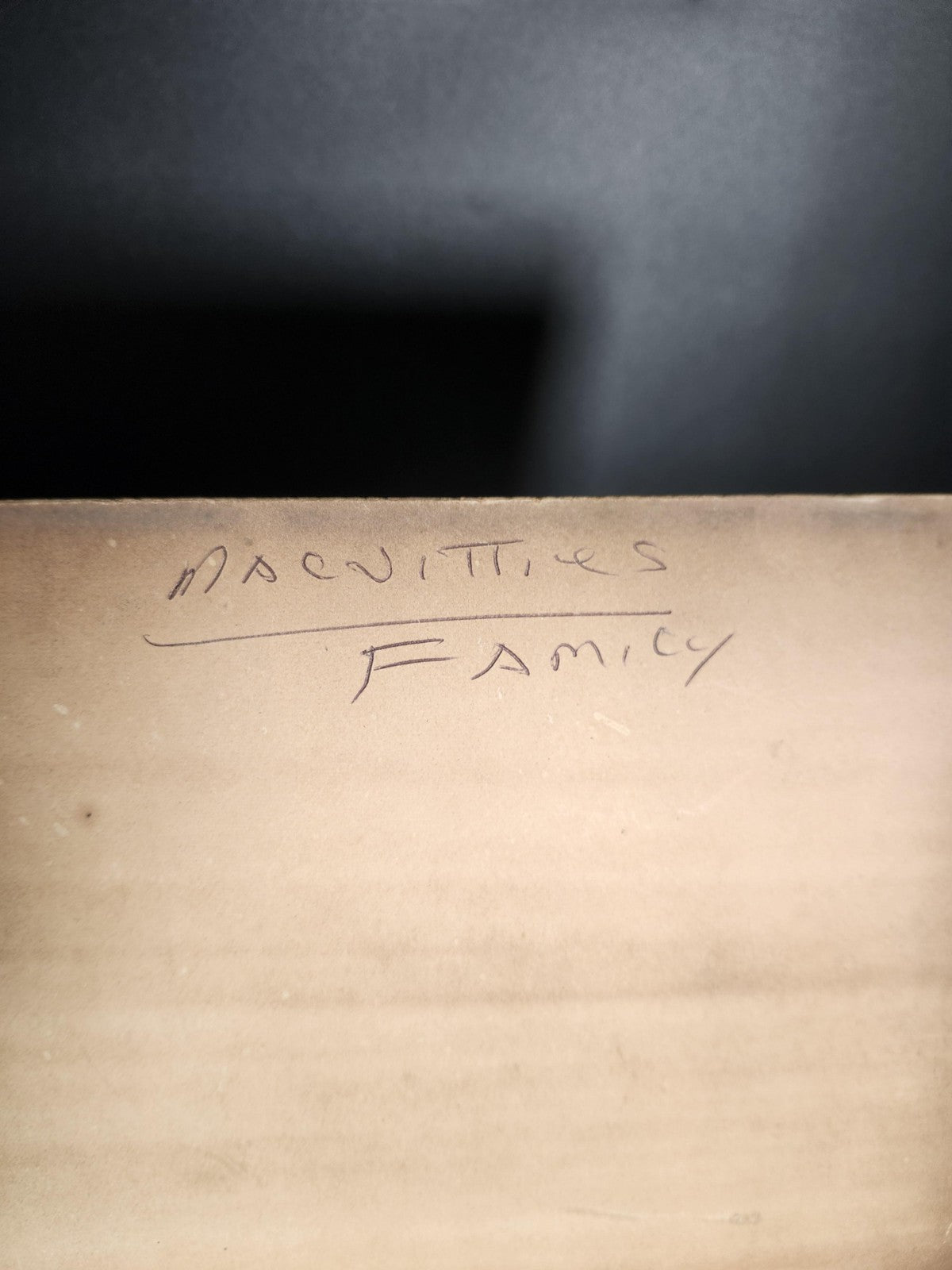 Vintage Milne Toronto Cabinet Card Macnitties Family 8x10 Sepia Photo Canada