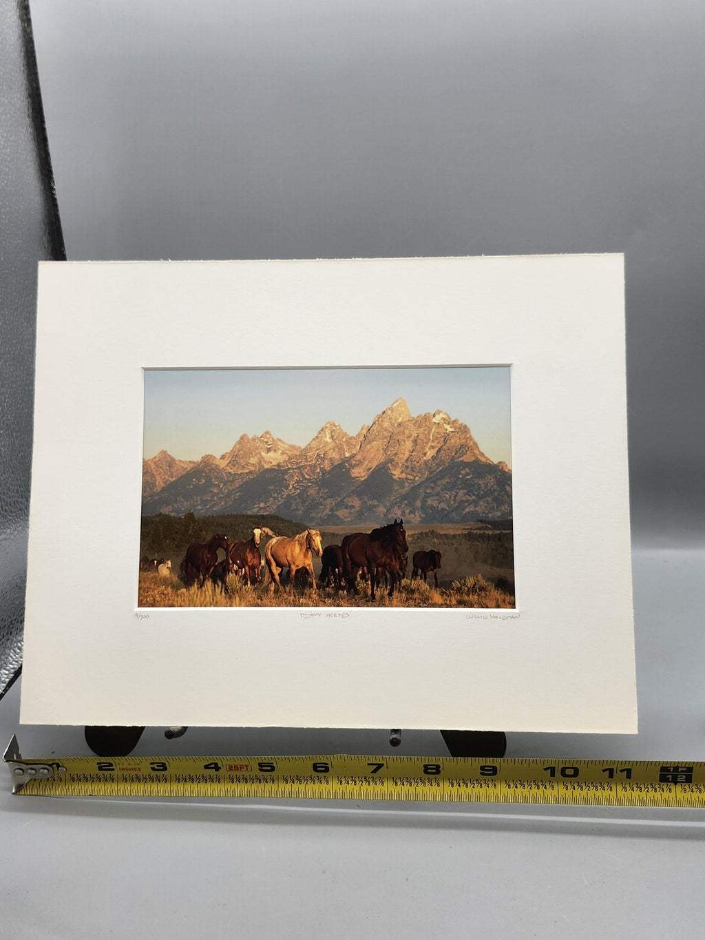 Teton Horses Willie Holdman Color Photograph 11x14 Matted Limited Edition