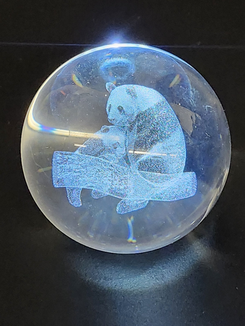 3D Laser Etched Panda Crystal Ball Glass Sphere Paperweight 3.1"