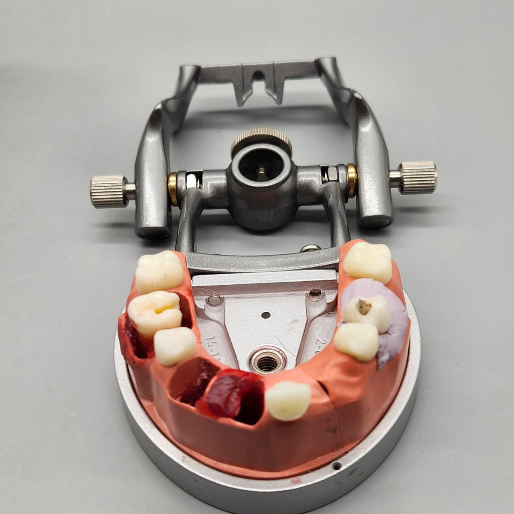 Acadental ModuPRO Endo Typodont MP_E120_PC Dental Silver Carrier Tray Case Model