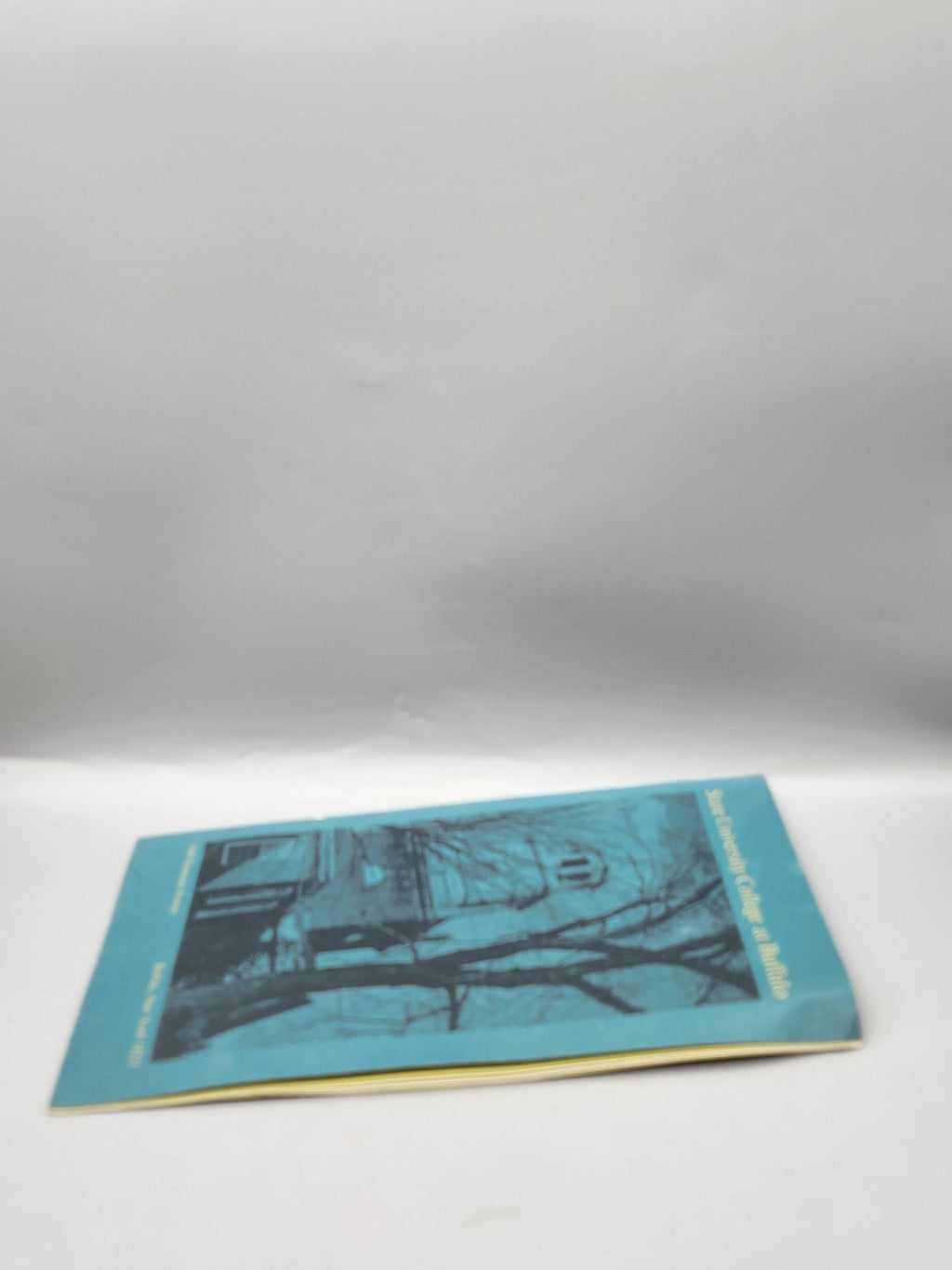 Vintage State University College At Buffalo Blue PB Tate USA IT Pamphlet