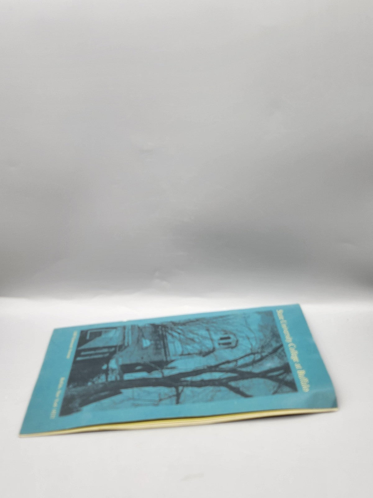Vintage State University College At Buffalo Blue PB Tate USA IT Pamphlet