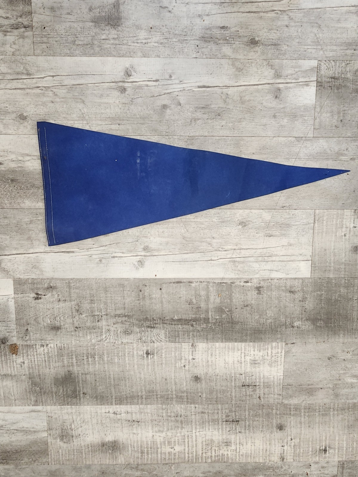 Vintage Golden Panthers Pitt Felt Pennant 29” Blue Yellow Collegiate Sports...