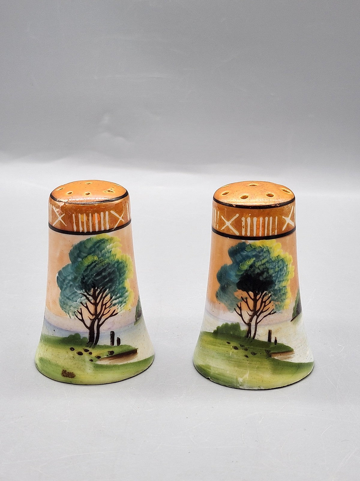 Vintage Japan Porcelain Salt & Pepper Shaker Set Small Handpainted Scenic Decor