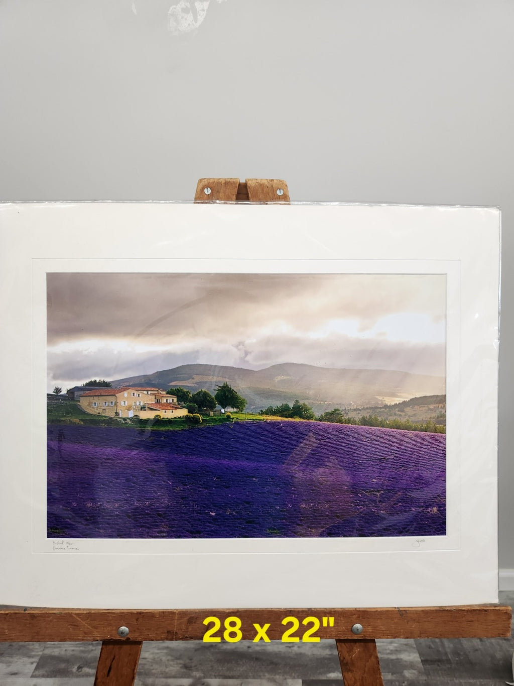 Signed Provence France Lavender Field Print “Mistral” 6/250 Framed Landscape Art