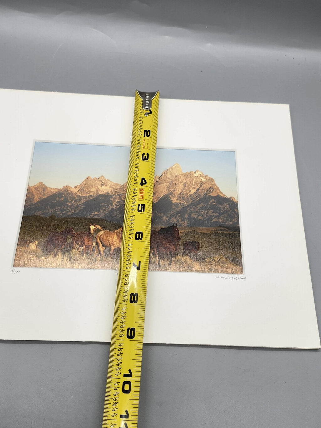 Teton Horses Willie Holdman Color Photograph 11x14 Matted Limited Edition