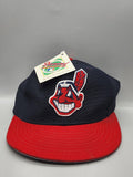 Vintage Cleveland Giants Hat Cap Fitted Mens 6 7/8 MLB Baseball New Era Blue Red