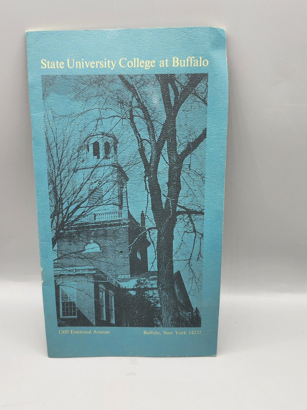 Vintage State University College At Buffalo Blue PB Tate USA IT Pamphlet