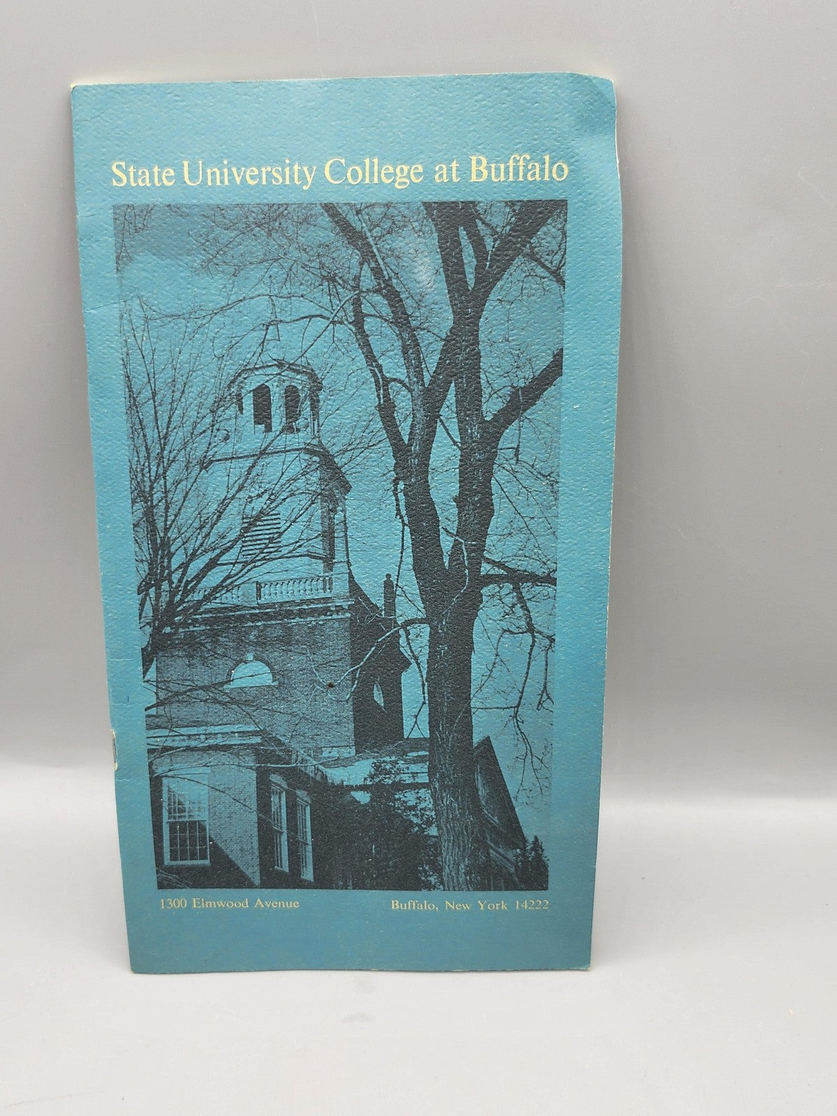 Vintage State University College At Buffalo Blue PB Tate USA IT Pamphlet