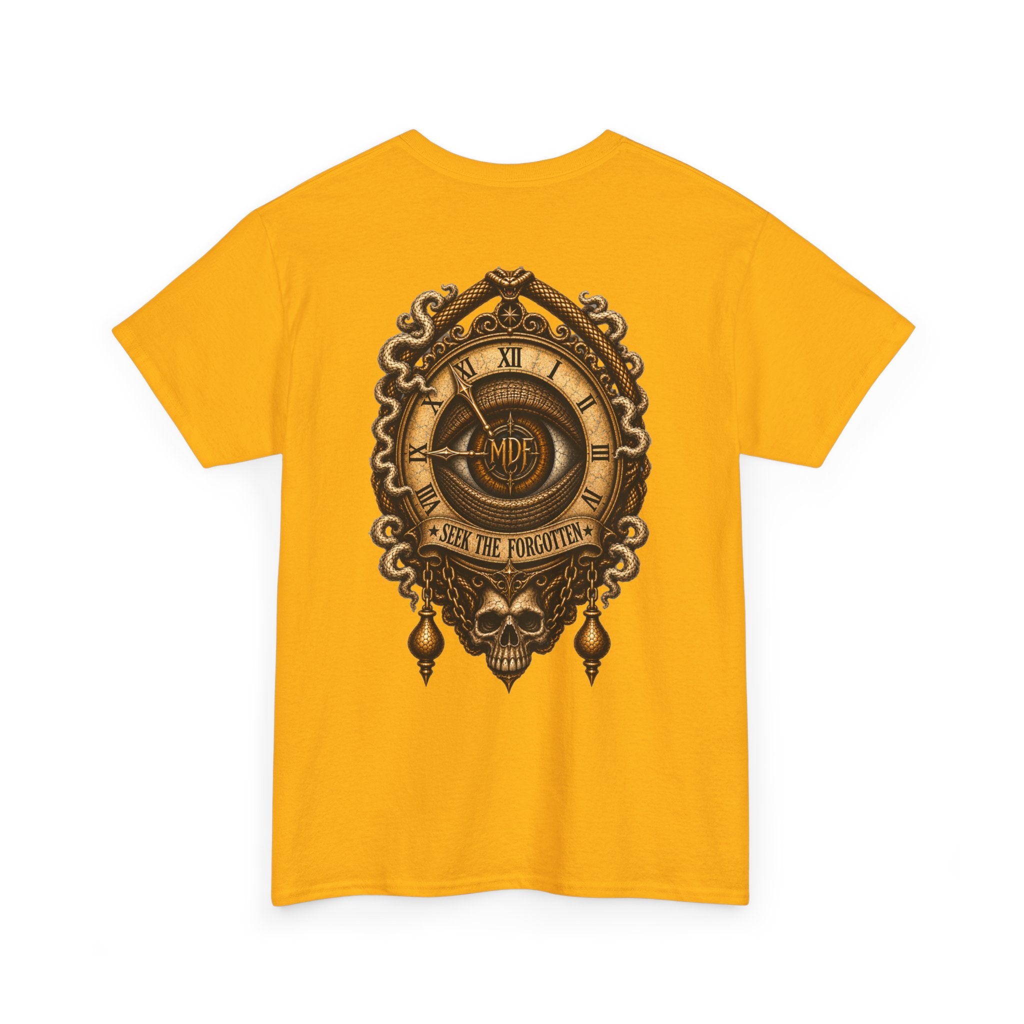 Seek The Forgotten - 004 Unisex Heavy Cotton Tee wts