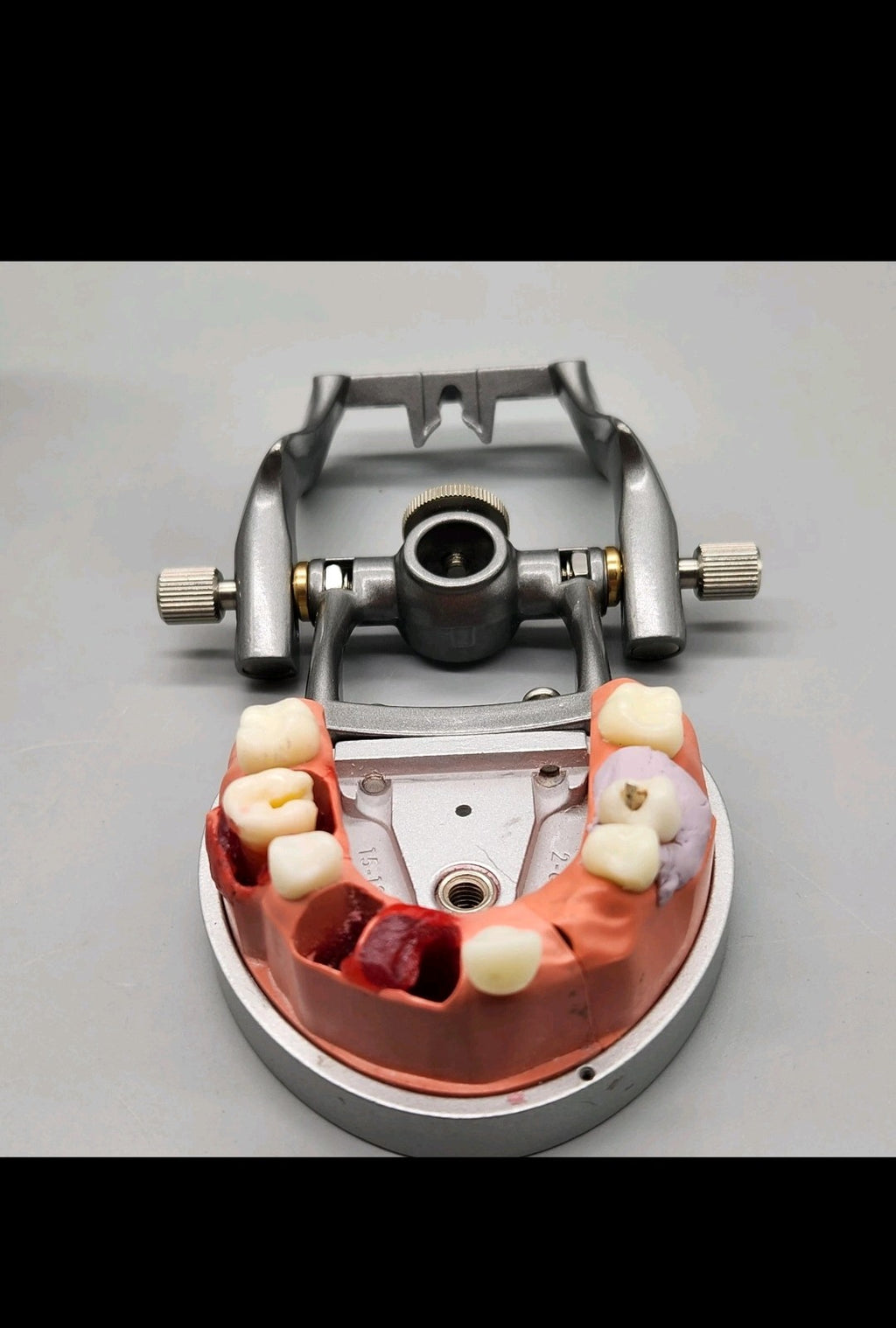Acadental ModuPRO Endo Typodont MP_E120_PC Dental Silver Carrier Tray Case Mode