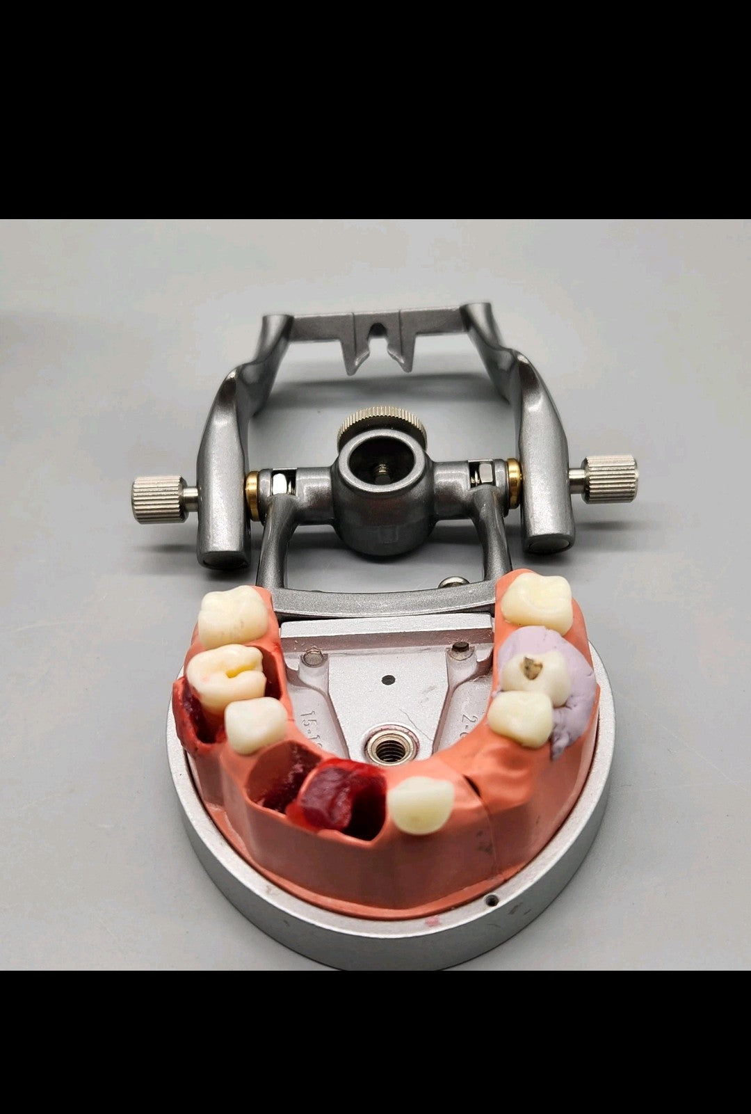 Acadental ModuPRO Endo Typodont MP_E120_PC Dental Silver Carrier Tray Case Mode