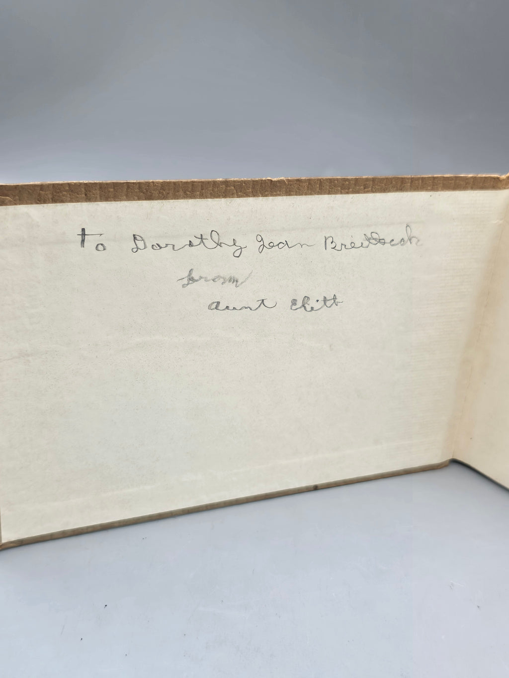 1934 Butterflies and Moths of America Lillian Davids Fazzini Whitman