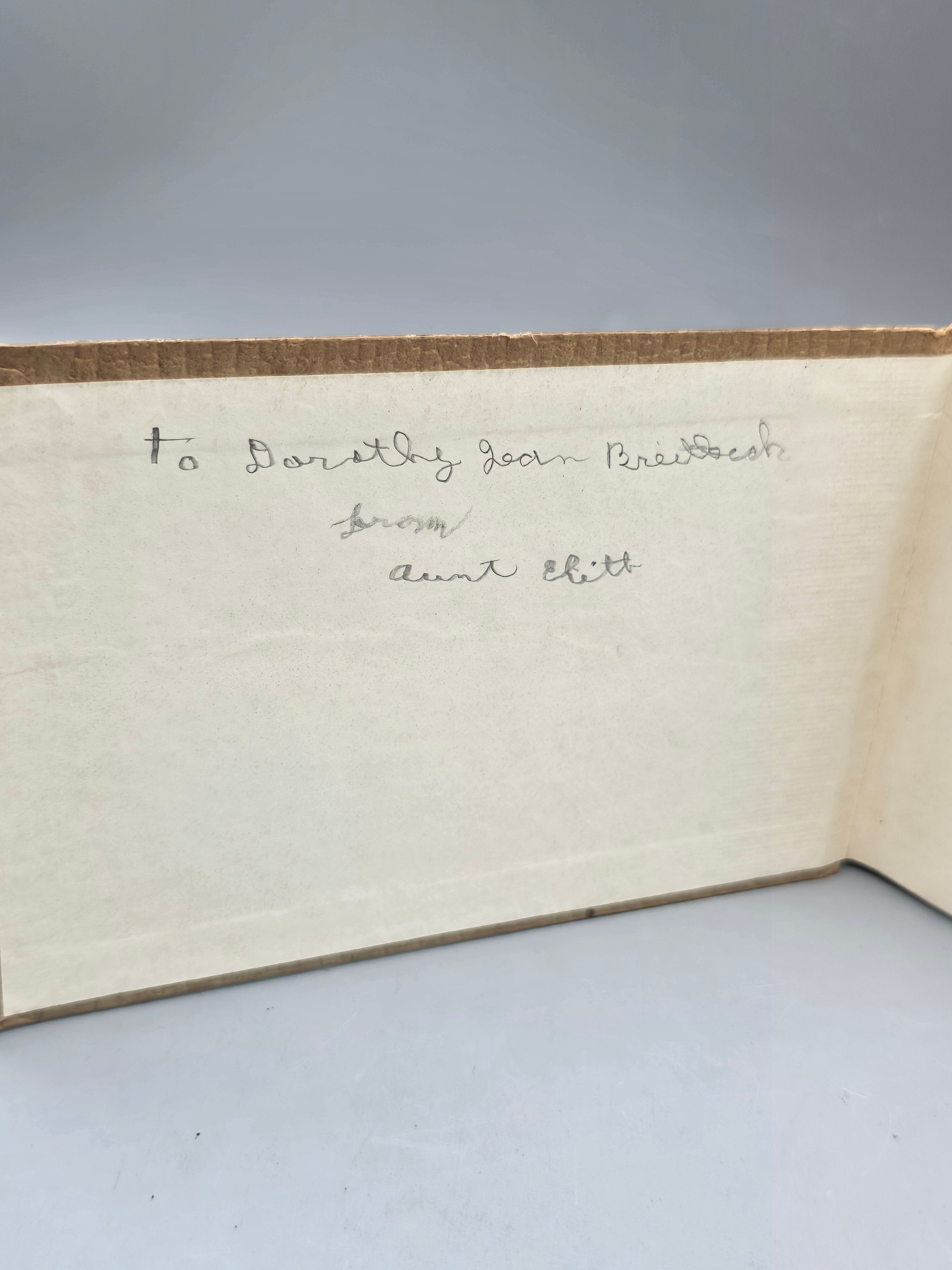 1934 Butterflies and Moths of America Lillian Davids Fazzini Whitman