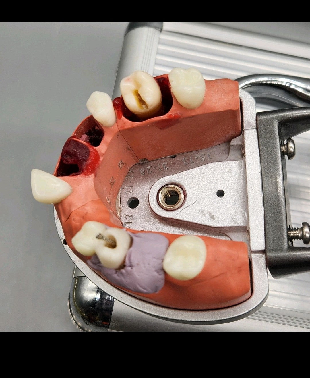 Acadental ModuPRO Endo Typodont MP_E120_PC Dental Silver Carrier Tray Case Mode