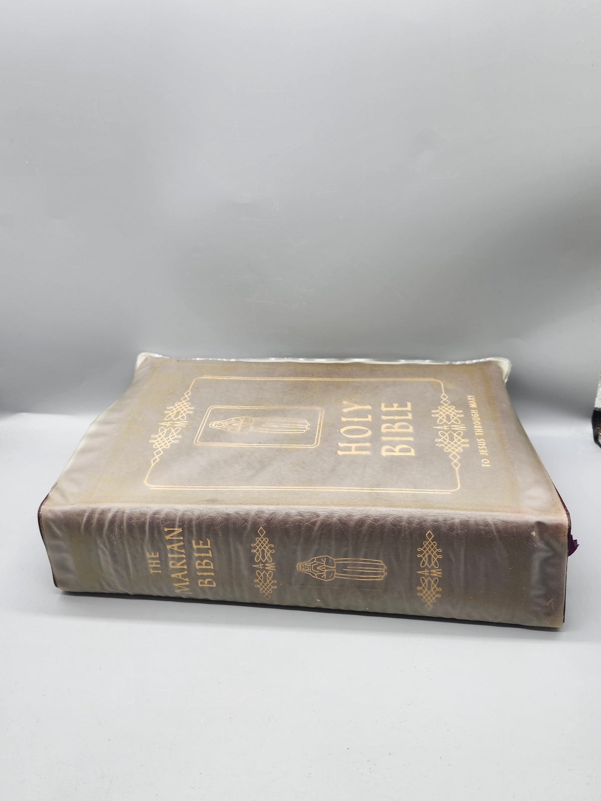 Vintage Family Rosary Catholic Bible Marian Year Edition Leatherette Illustrated