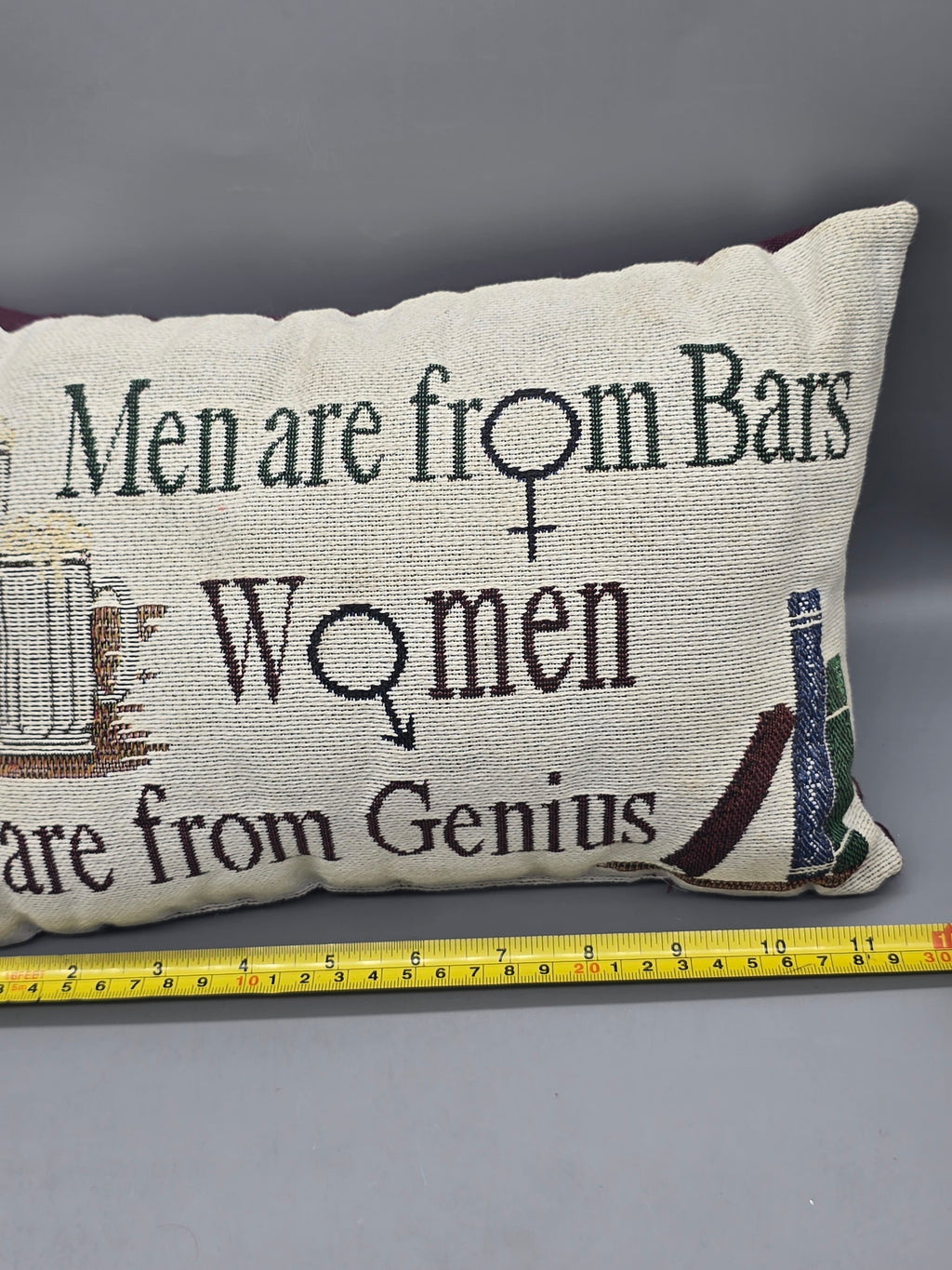The Rug Barn Men Are From Bars Women Are From Genius 12" Woven Decorative Throw Pillow USA