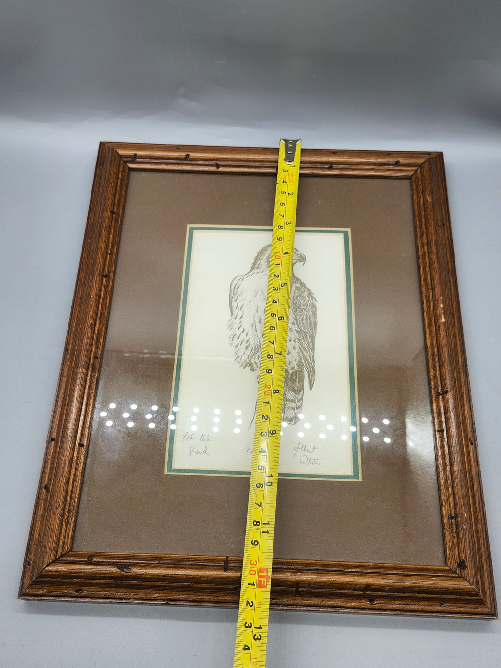 Signed Albert White Red Tail Hawk Limited Edition Print 72/300 Framed