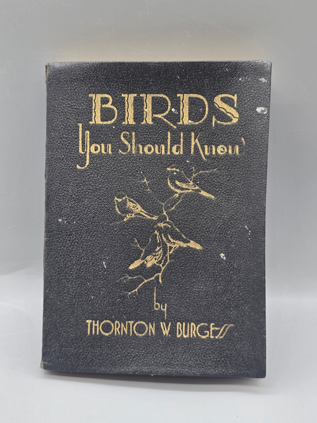 1933 Birds You Should Know by Thornton W. Burgess – Vintage Illustrated Bird Book