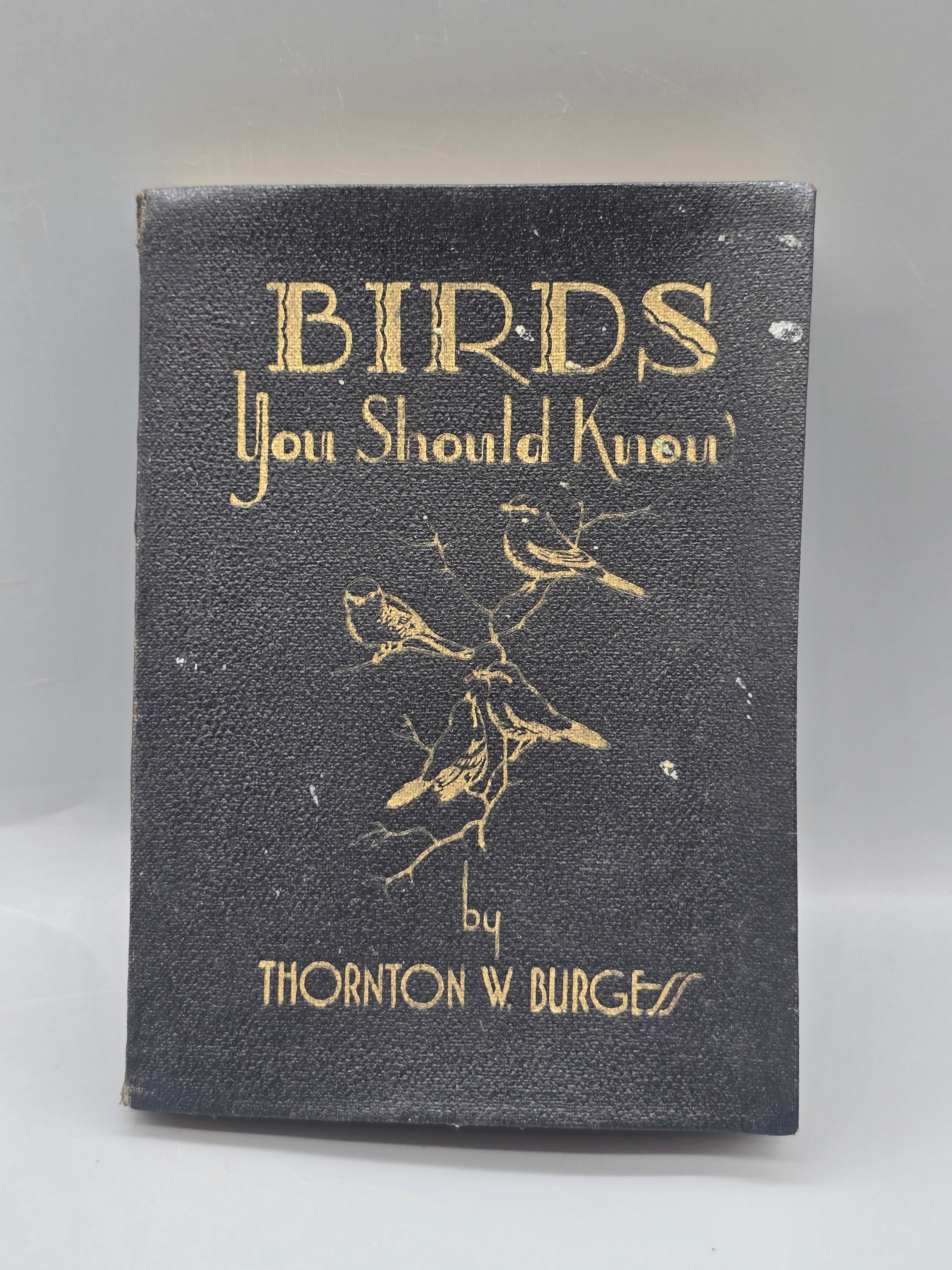 1933 Birds You Should Know by Thornton W. Burgess – Vintage Illustrated Bird Book