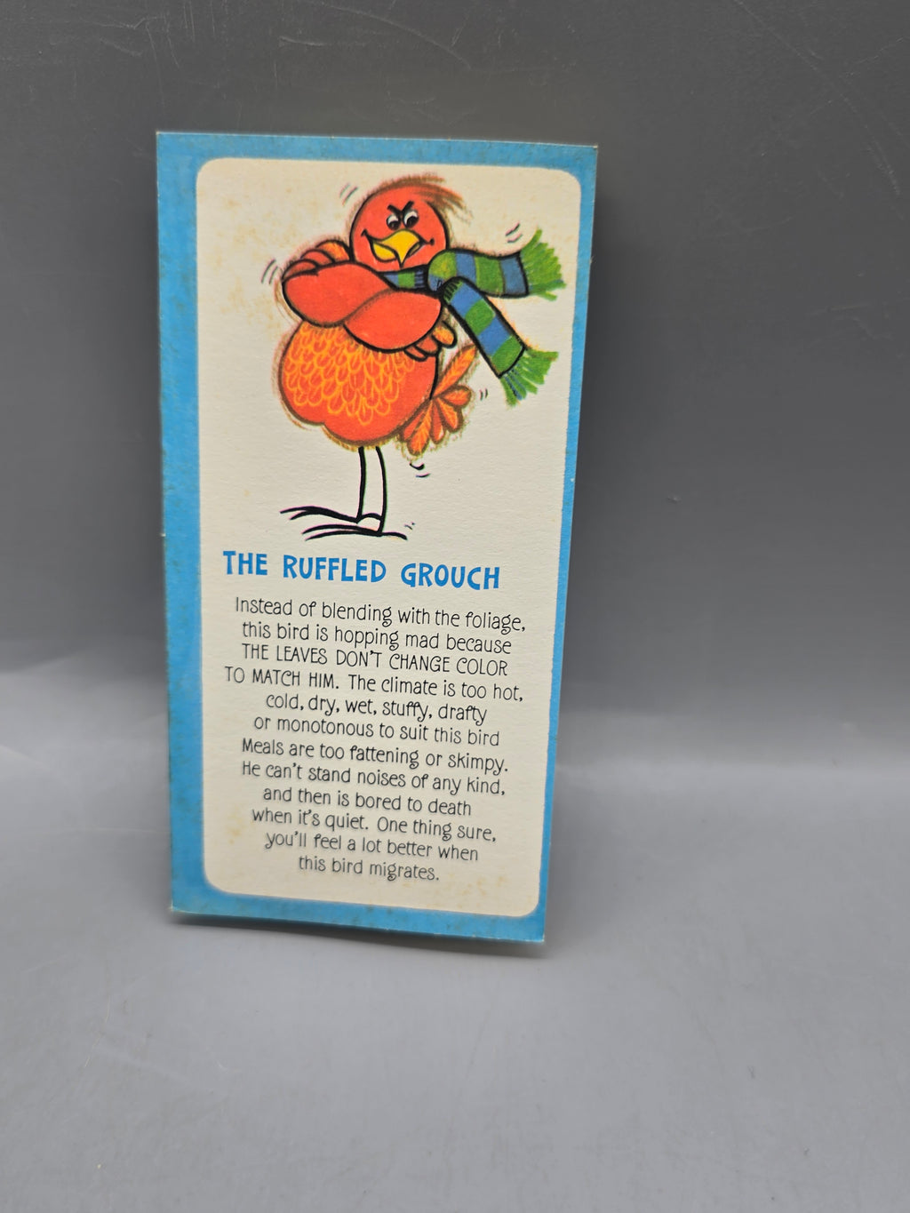 Vintage Birdwatcher’s Handbook Hospital Edition Novelty Fold-Out Booklet - Book