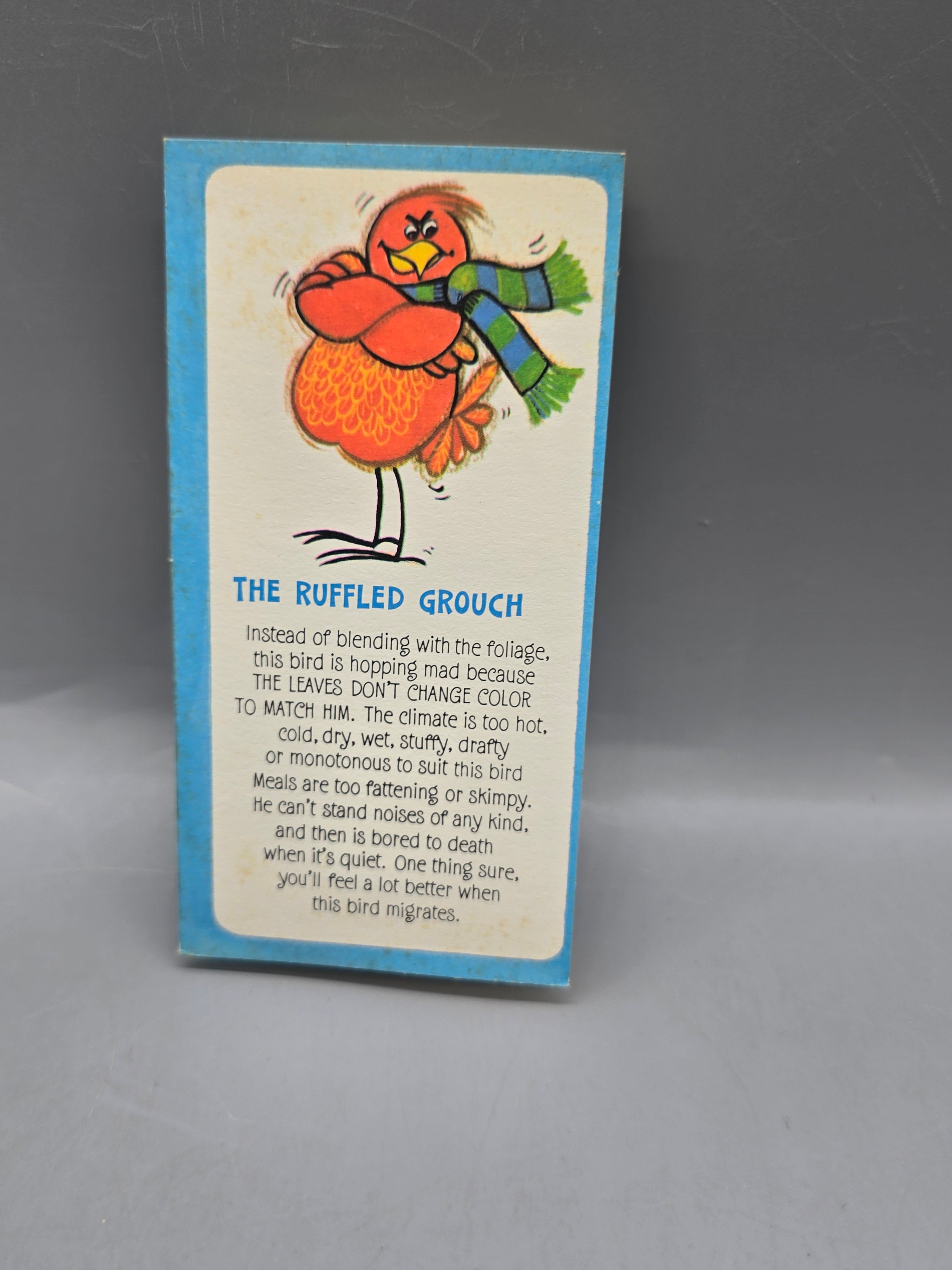 Vintage Birdwatcher’s Handbook Hospital Edition Novelty Fold-Out Booklet - Book