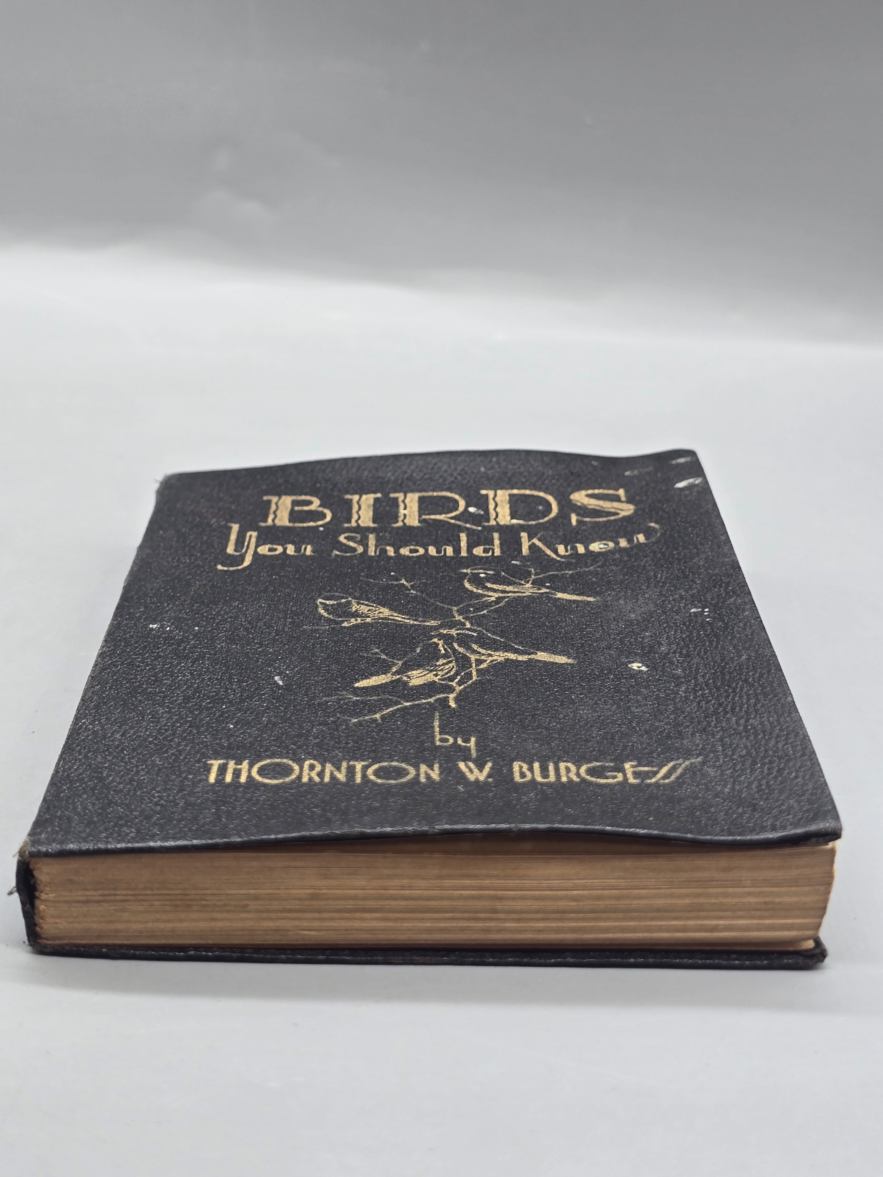 1933 Birds You Should Know by Thornton W. Burgess – Vintage Illustrated Bird Book
