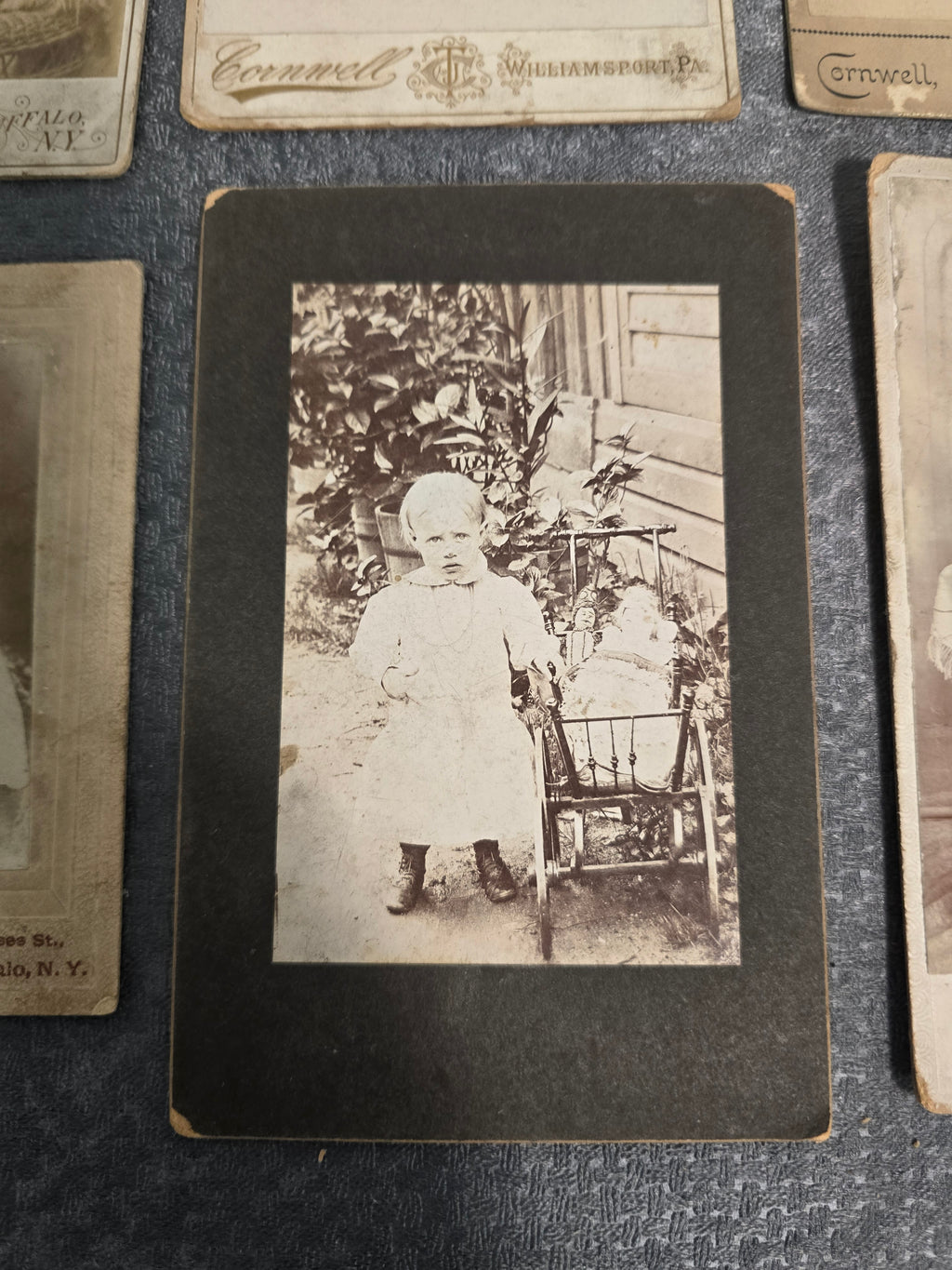 Lot of 6 Antique Cabinet Cards & Early Portrait Photographs Buffalo NY Williamsport PA Victorian Era