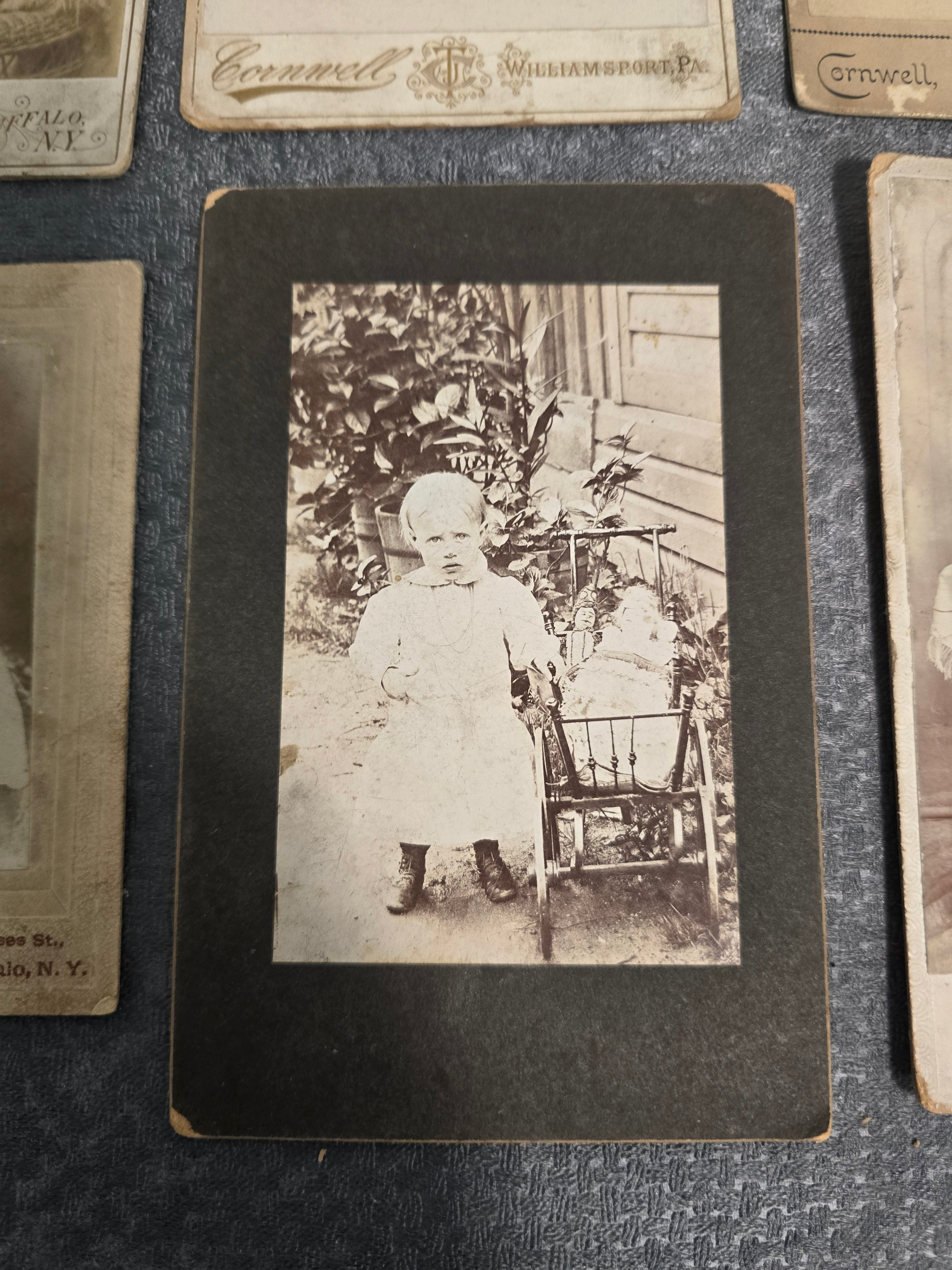 Lot of 6 Antique Cabinet Cards & Early Portrait Photographs Buffalo NY Williamsport PA Victorian Era