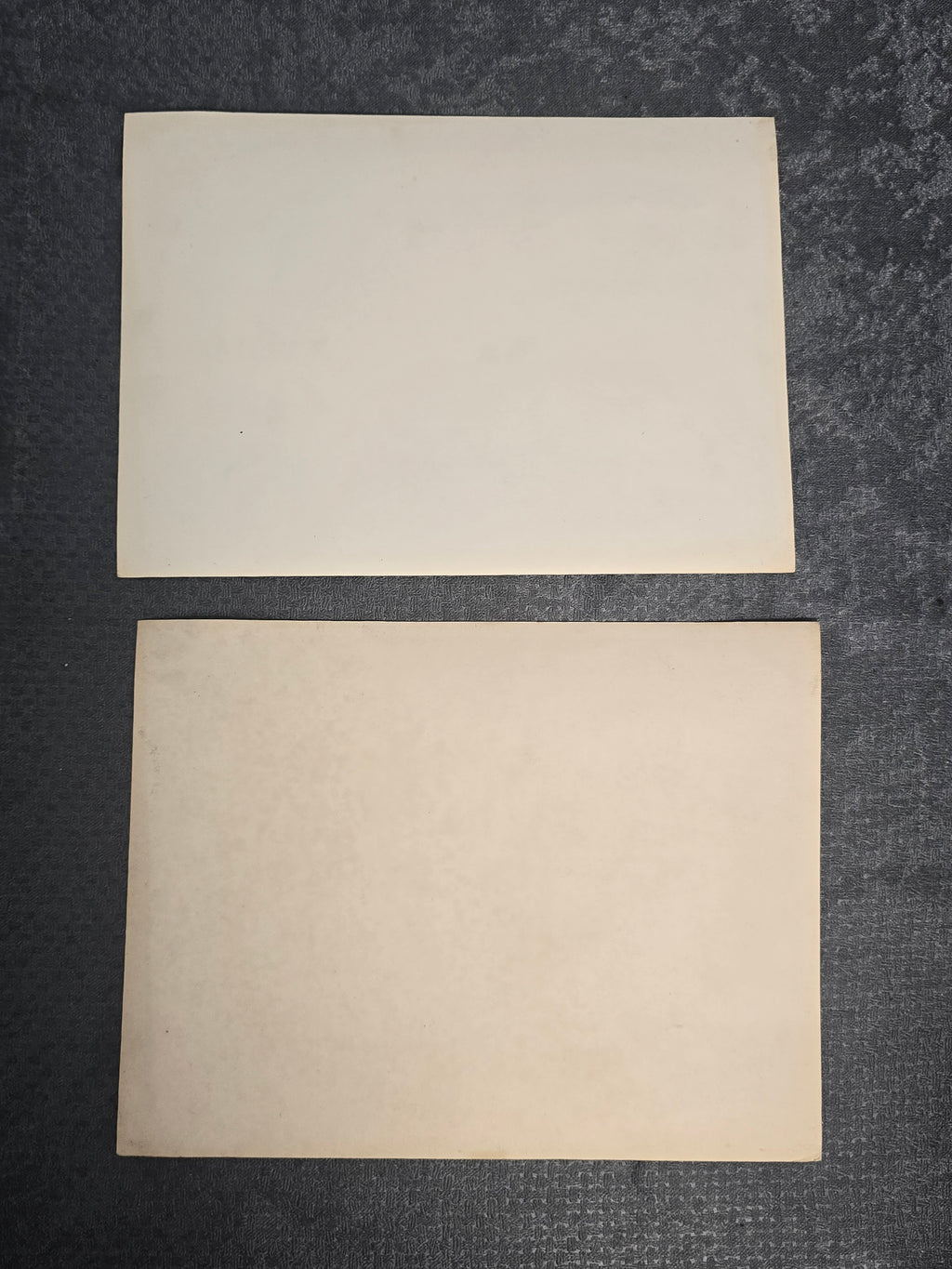 Lot of 2 Vintage Black & White Photographs Garden Pond Desert Landscape Snapshot Photos