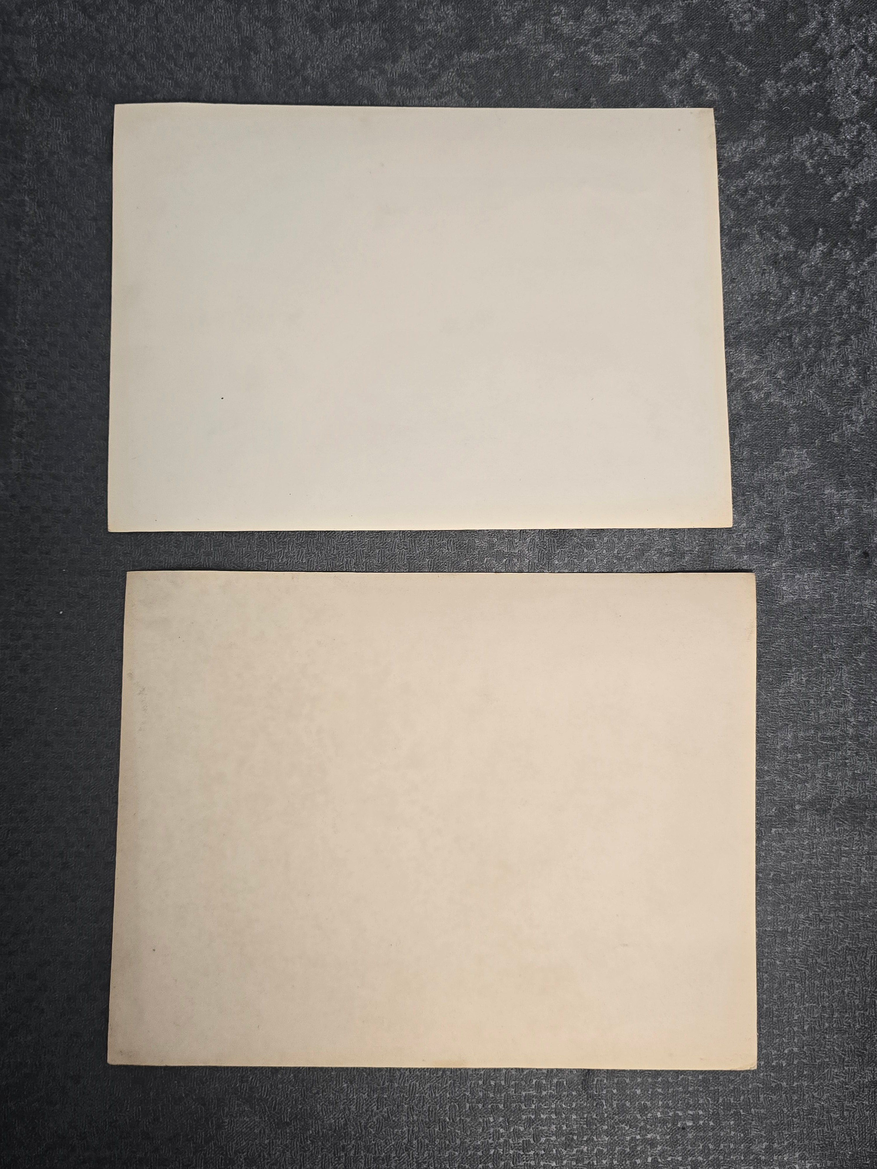 Lot of 2 Vintage Black & White Photographs Garden Pond Desert Landscape Snapshot Photos
