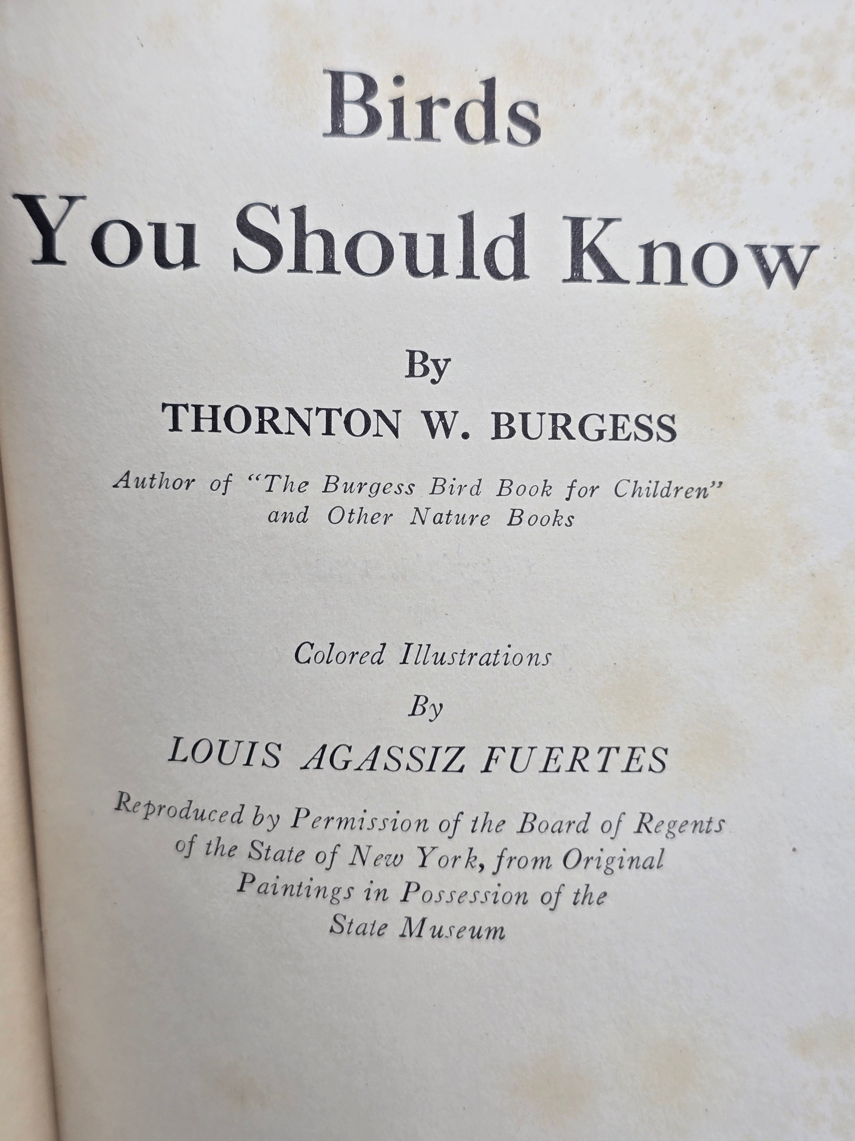 1933 Birds You Should Know by Thornton W. Burgess – Vintage Illustrated Bird Book