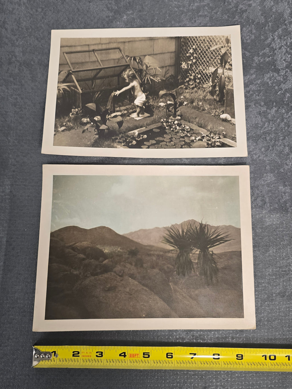 Lot of 2 Vintage Black & White Photographs Garden Pond Desert Landscape Snapshot Photos